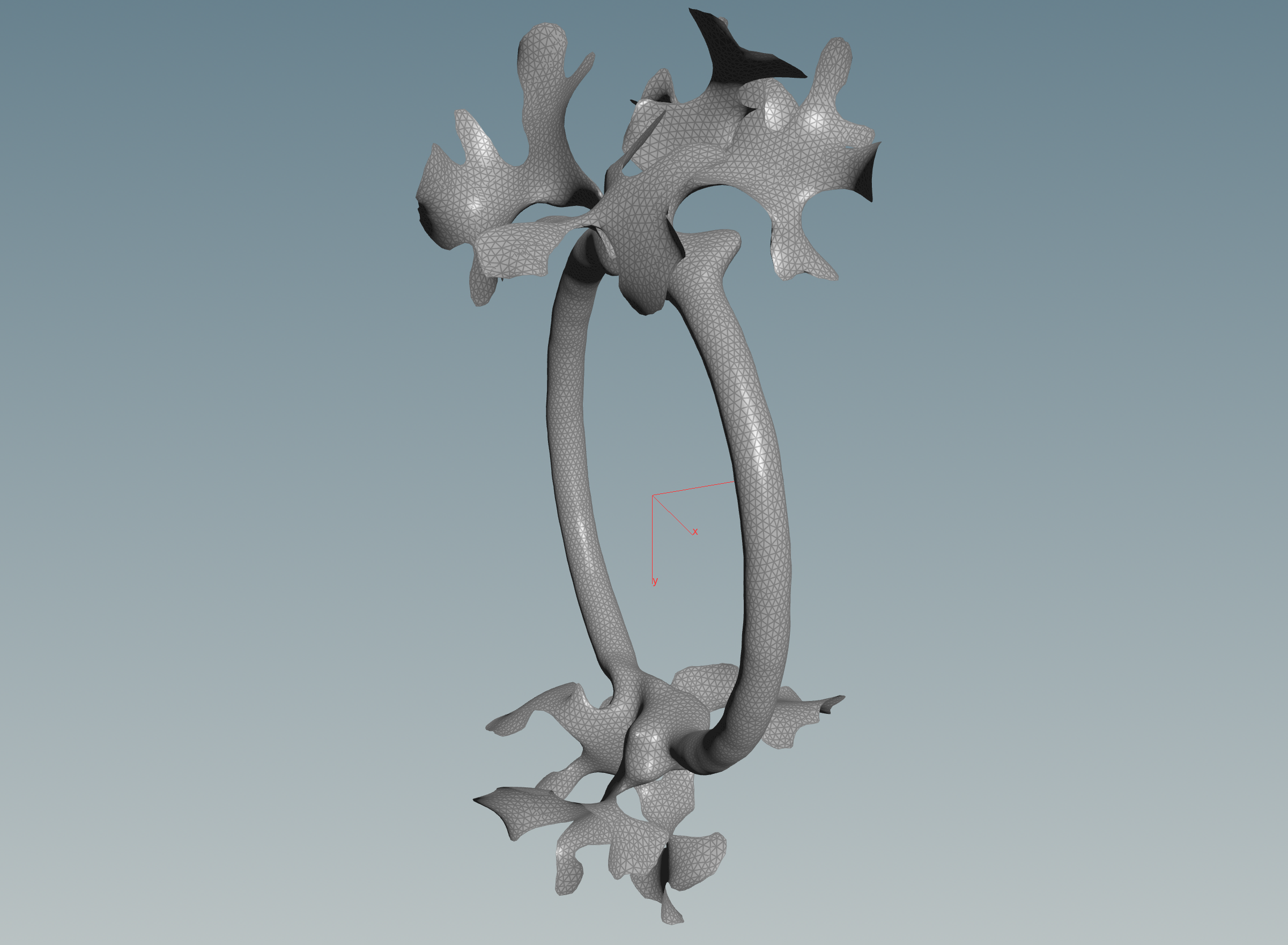 Reaction Diffusion Torus